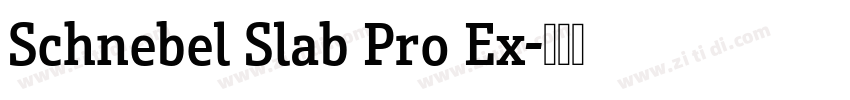 Schnebel Slab Pro Ex字体转换 Schnebel Slab Pro Ex字体转换